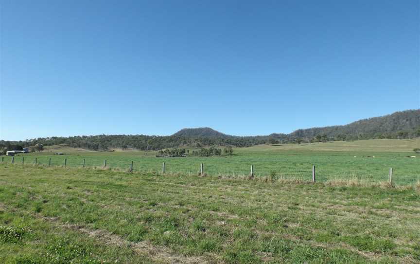 Paddocks at Christmas Creek.jpg