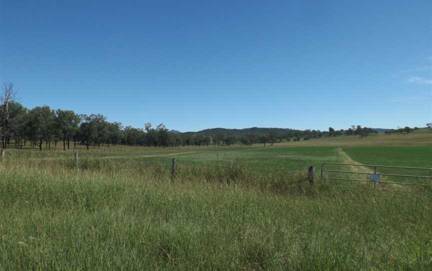 Fields along Mount Walker West Road Mount Walker West.jpg