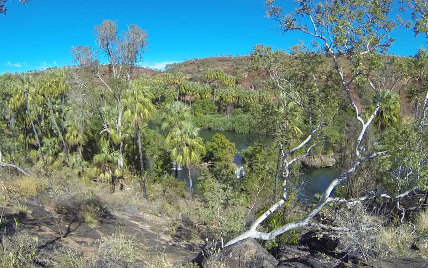 Lawn Hill Gorge - panoramio (76).jpg