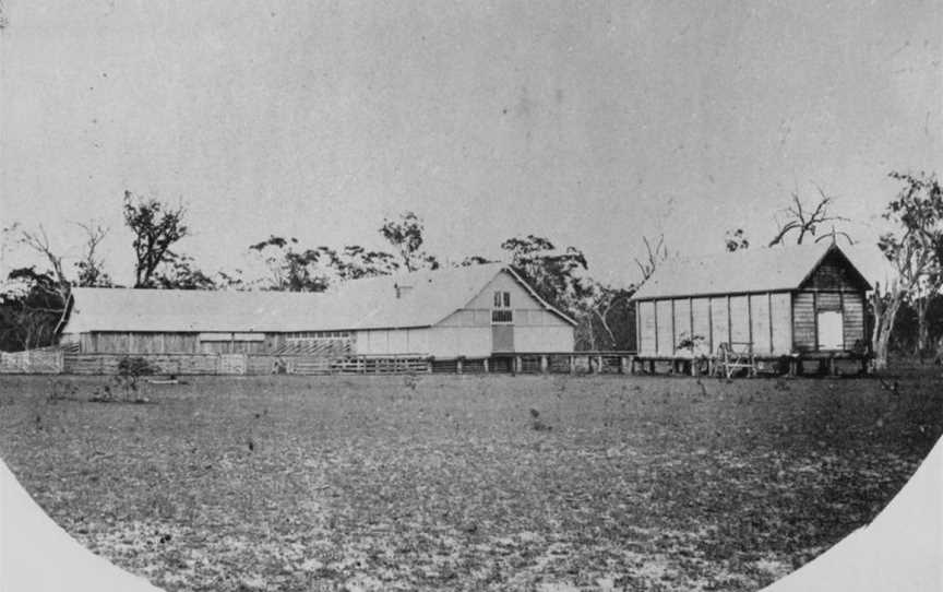 State Lib Qld1153323 Woolshedat Western Creek Station CQueensland Cca.1875