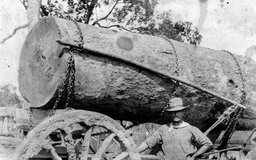 Timber cutter near a large log in the Barakula district.jpg