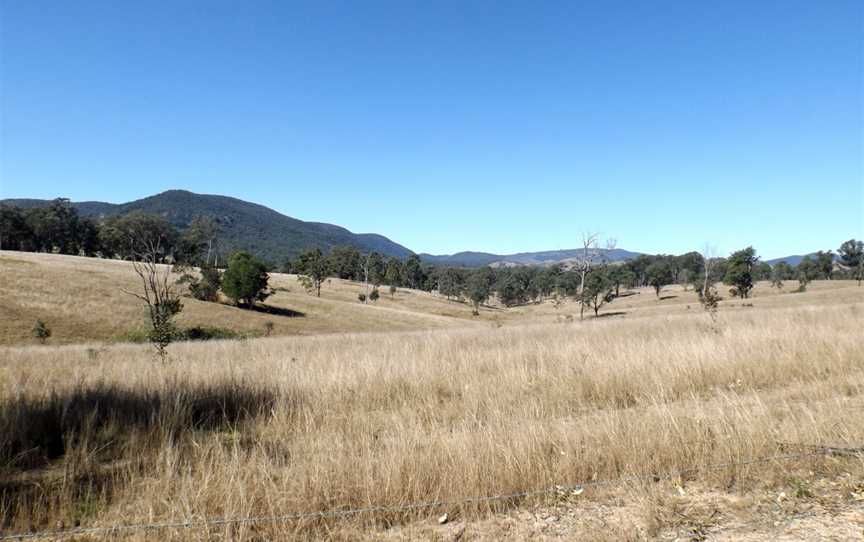 Paddocks Glenfern Queensland.jpg