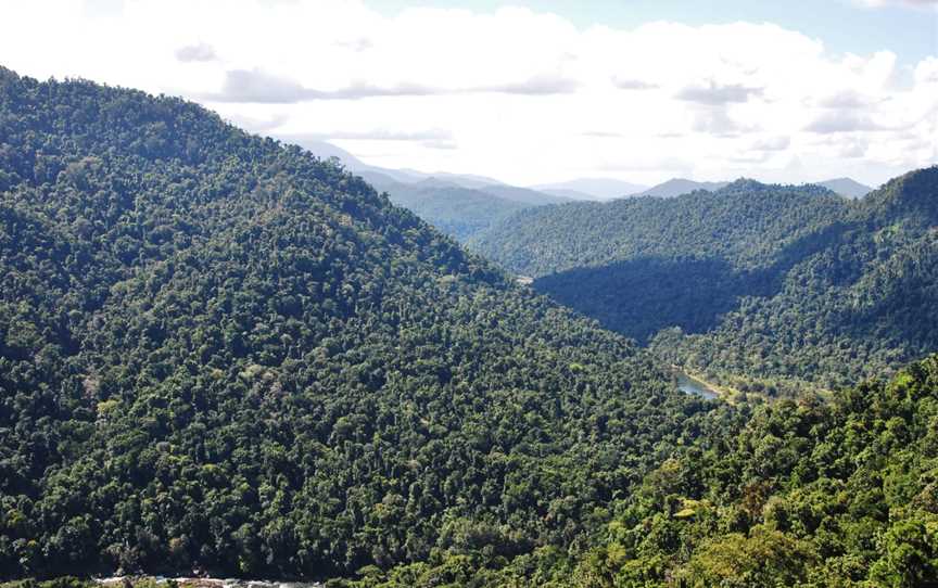 Wooroonoon Park( Mamu Skywalk)promenadeàhauteurdelacanopéedela Rain Forestetvuesurla Johnstone River