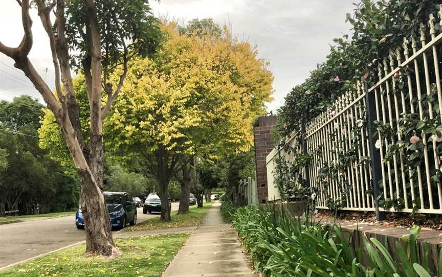 Suburban street in Epping NSW AUS.jpg