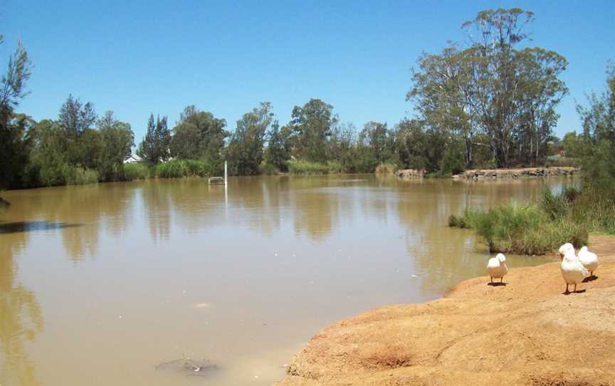 Plumpton lake.jpg