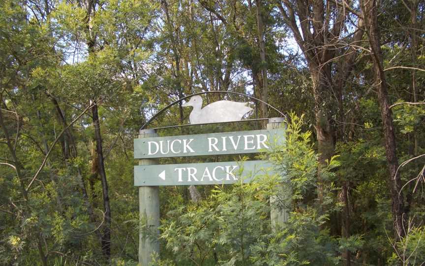 South Granville Duck River Track.JPG