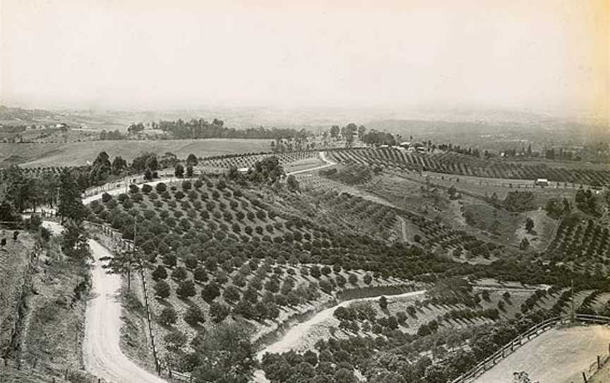 Orchards at Kurrajong (2924807411).jpg