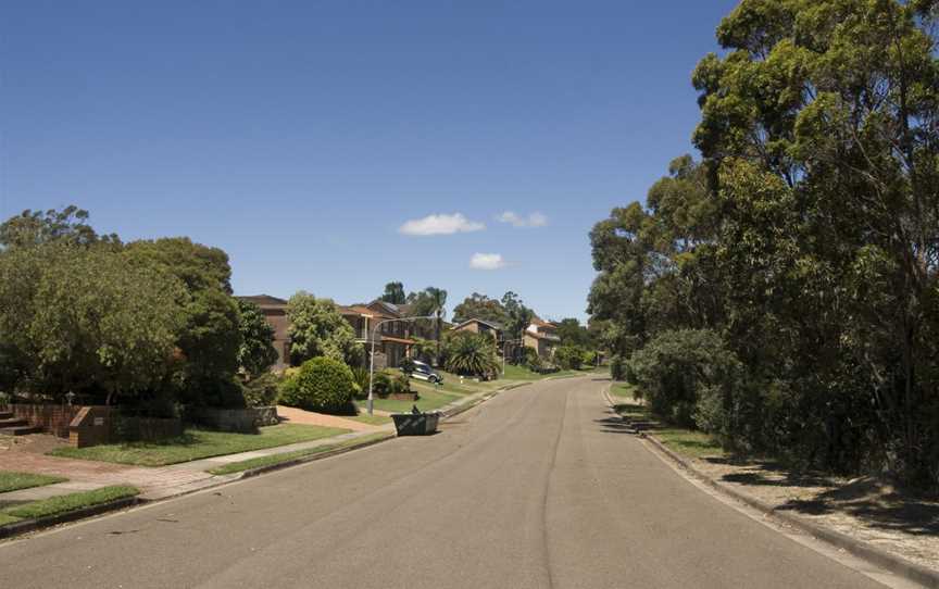 Warrangaree Drive, Woronora Heights.jpg