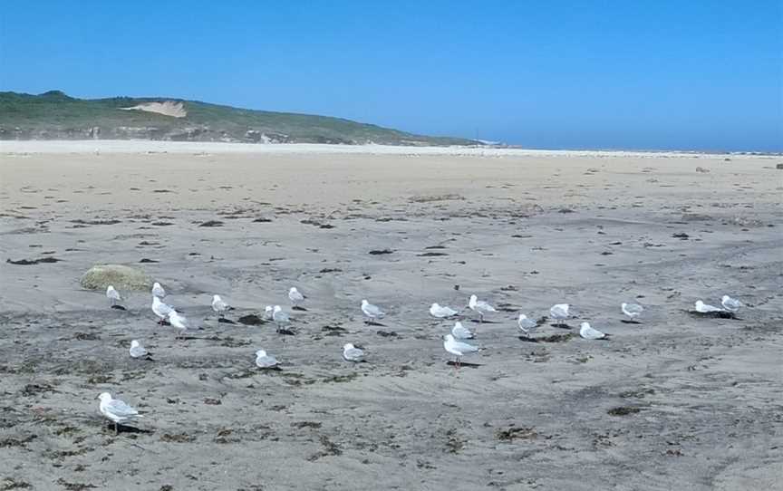 Kurnell Panorama