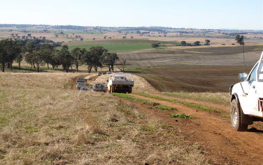 Landscape near Cumnock, NSW.jpg