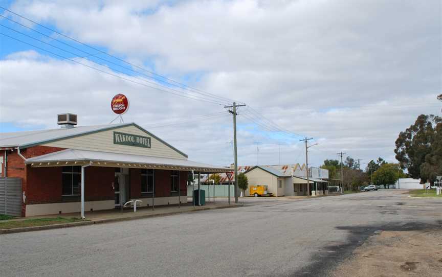 Wakool Hotel and Main Street 2010.JPG