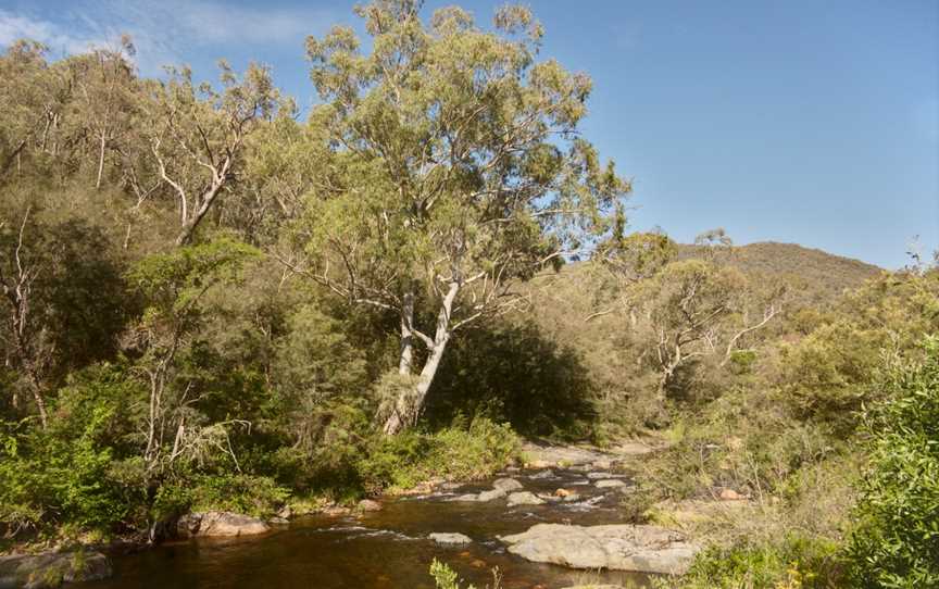 Jounama Creek Cnear Talbingo NS W