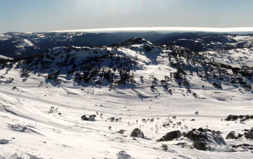 Perisherand Blue Cow CBack Mt Perisher CJuly2012