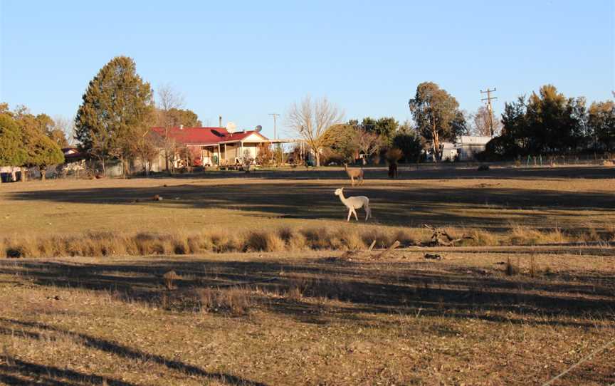 Lade Vale, New South Wales.jpg