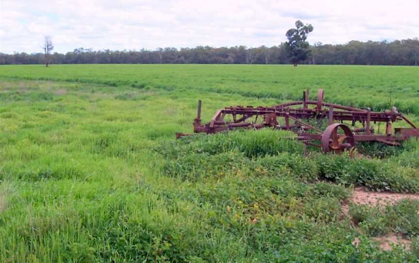 Terry Tie-Tie farmland.jpg