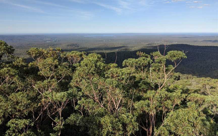 Sussex Inlet from Jerrawangala lookout.jpg