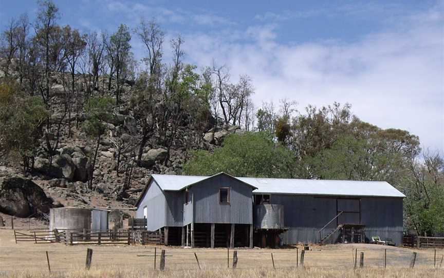 Kyeamba Shearing Shed