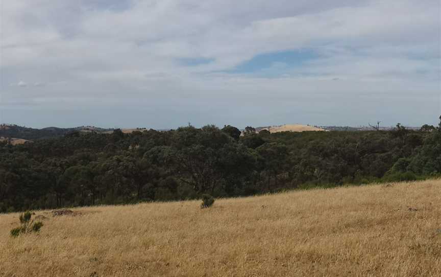 Bevendale( Koroullah) Panorama