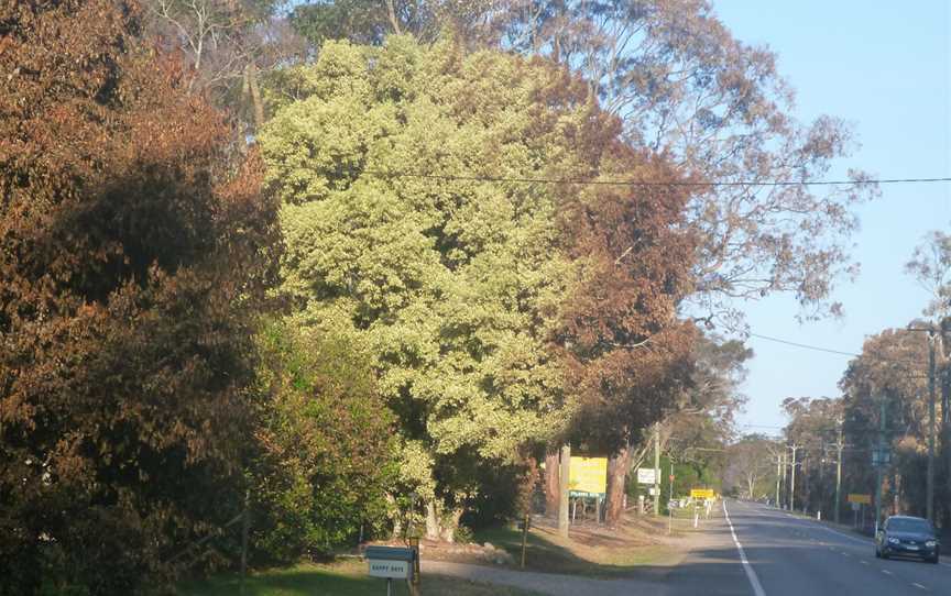 Burnttree Campvale0220131020