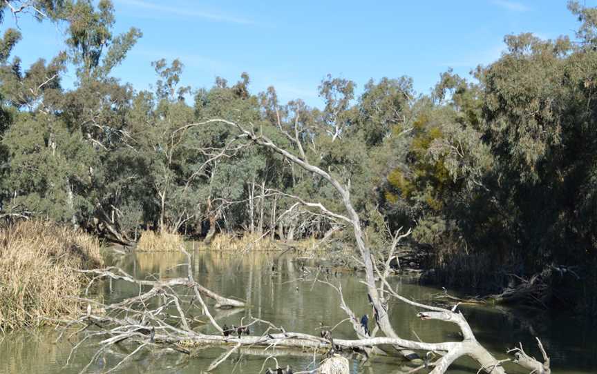 Oxley Lachlan River002