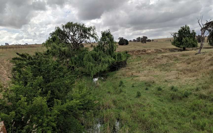 Merrill at Merrill Creek looking east.jpg