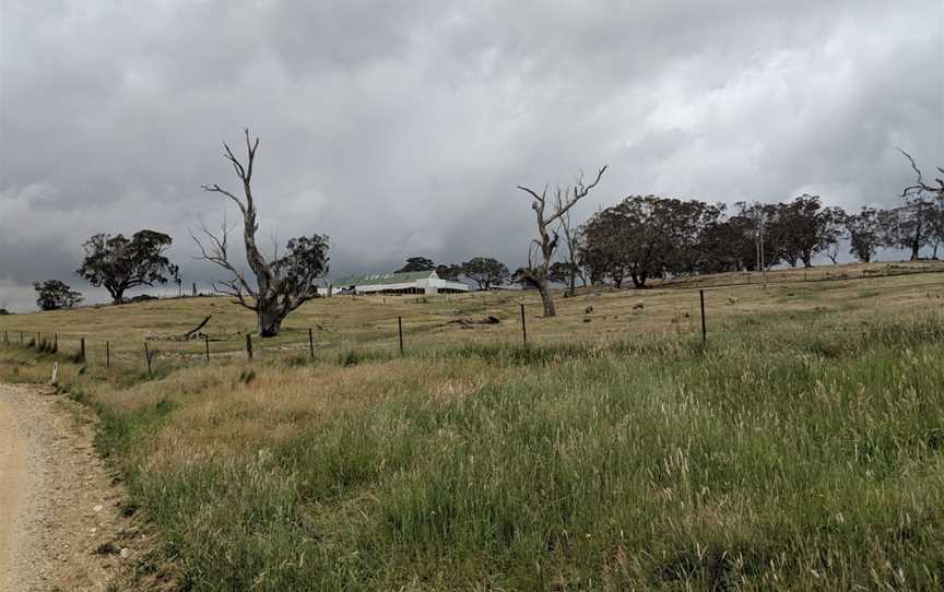 Lerida woolshed, Lerida, New South Wales.jpg