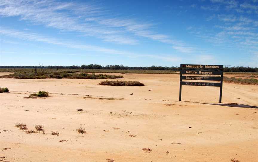 Macquarie Marsheserosion July2008