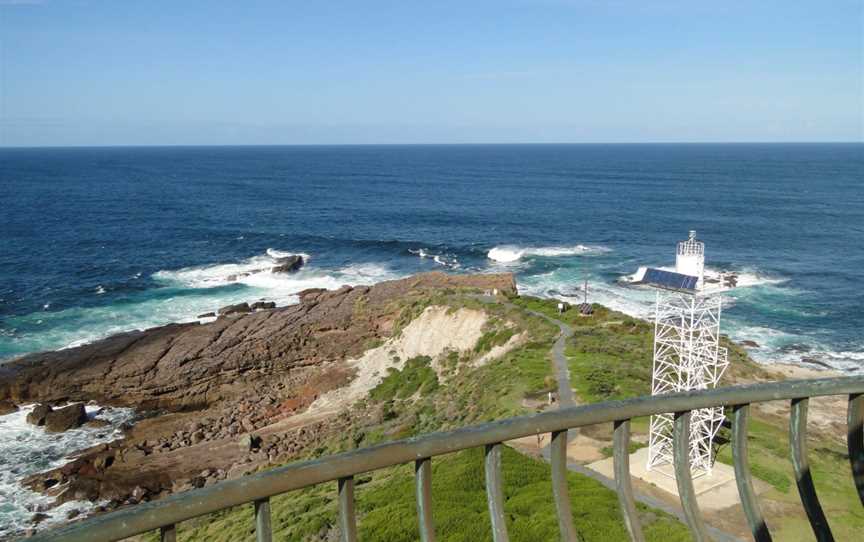 Green Capeheadland