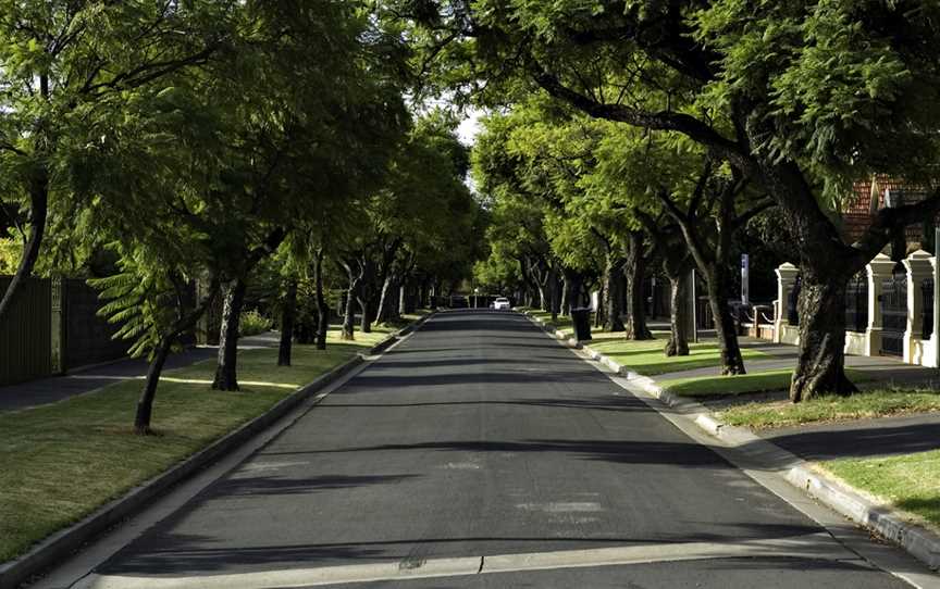 Toorak Gardens Street