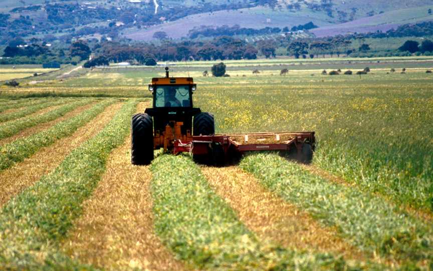 CSIRO ScienceImage 4569 Cutting hay at Aldinga south of Adelaide in South Australia 1992.jpg