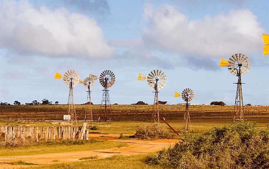 Penong windmills.jpg