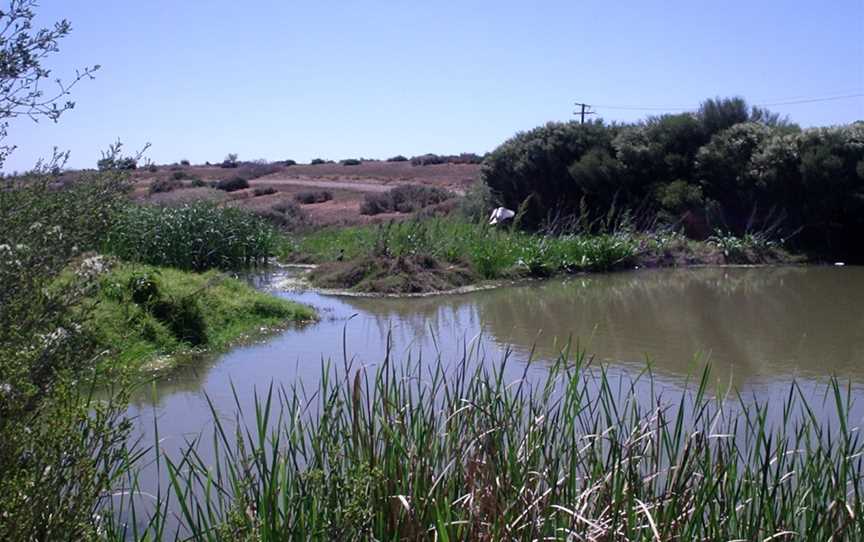 Drycreekwetlands.png