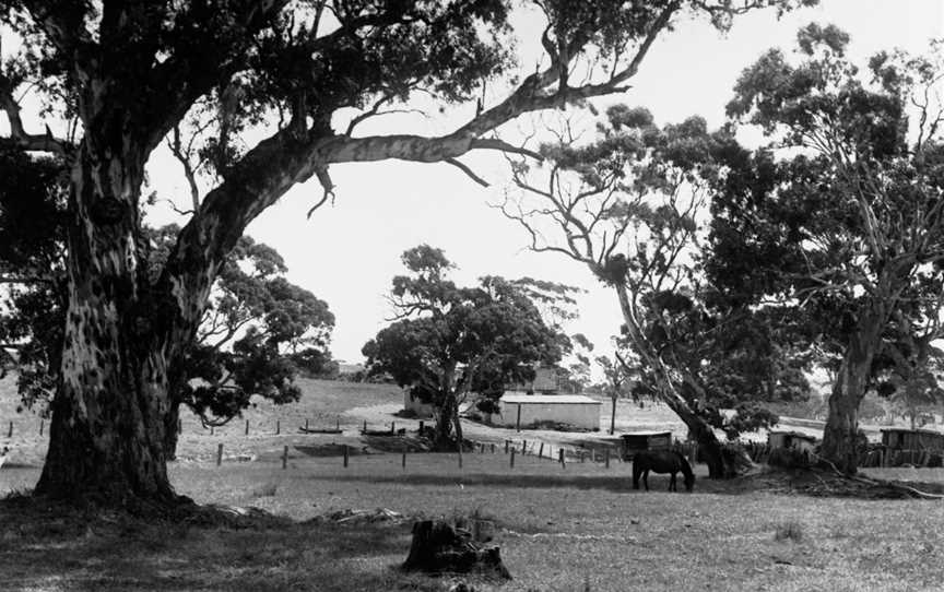 Dairy and Pig Farm Near Wattle Flat(GN08453).jpg