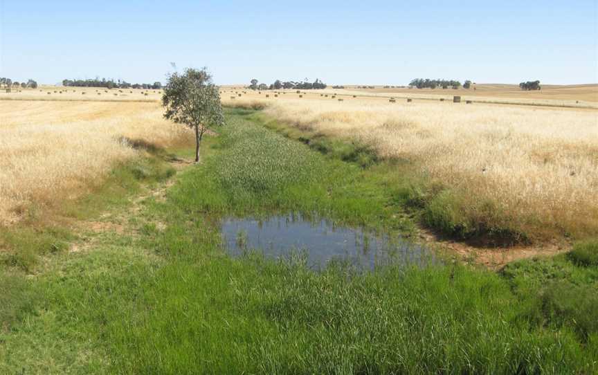 Hill River at Andrews, South Australia. Upstream (southward) view..JPG