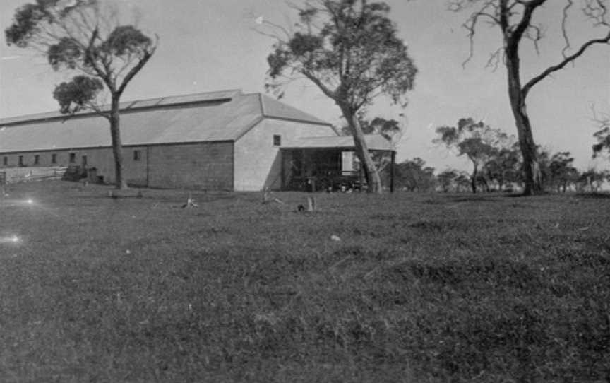 Coola Wool Shed - State Library of South Australia B 3393.jpg