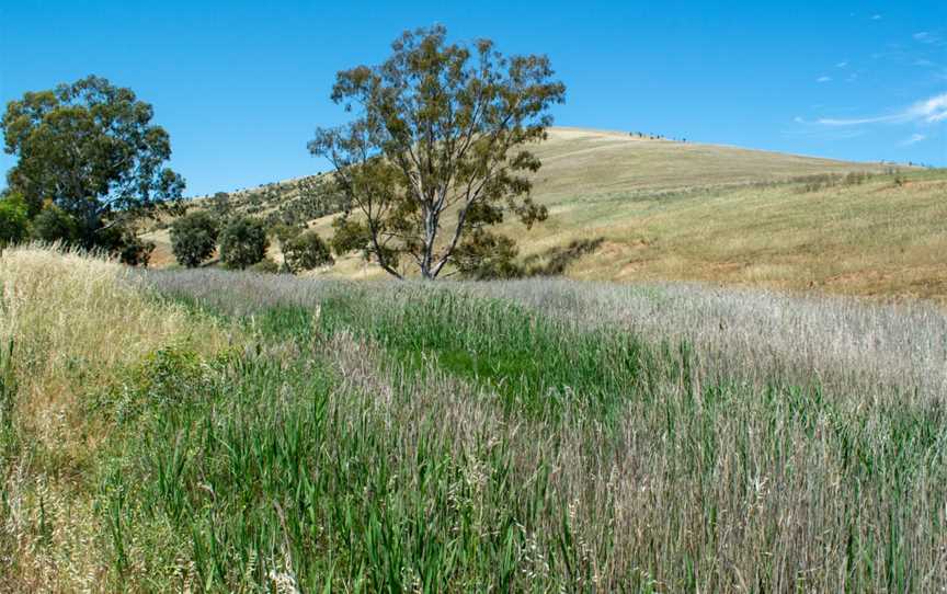 Woolshed-flat-creek.jpg