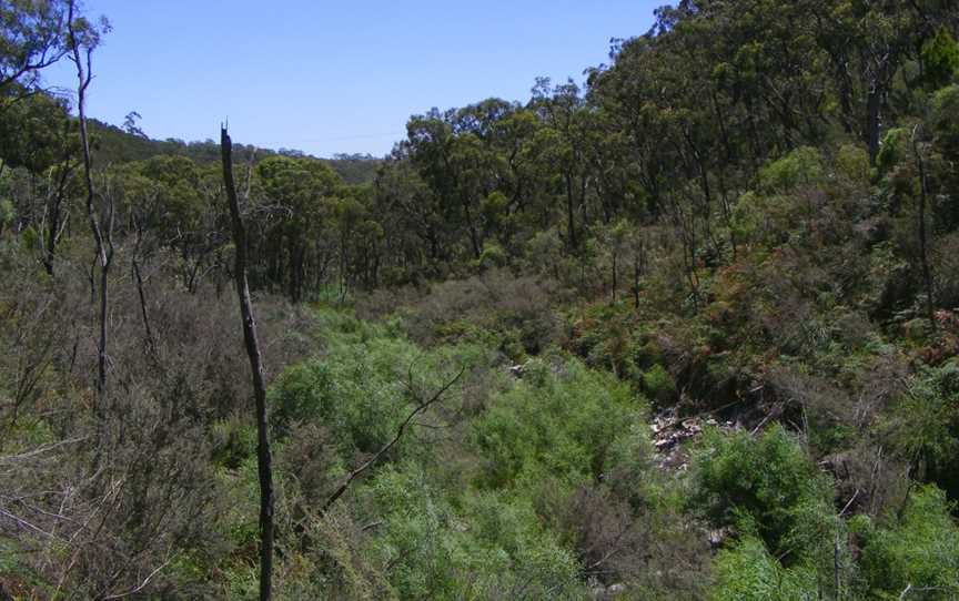 Wilsons bog cleland conservation park.jpg