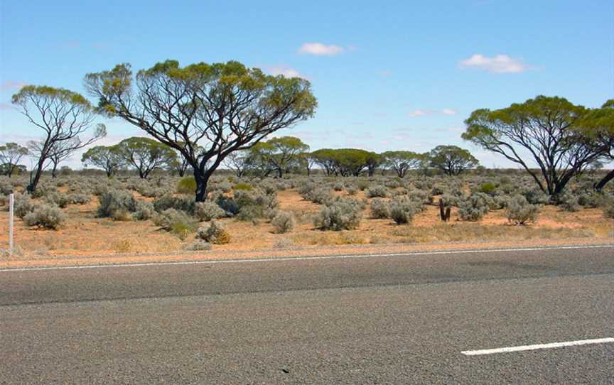 Glendambo - panoramio.jpg