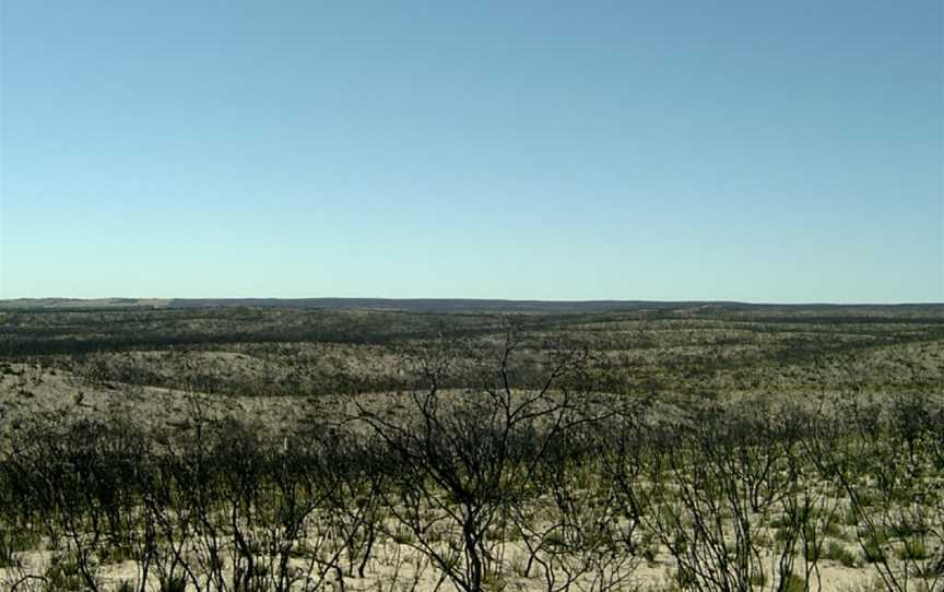 Ngarkat Conservation Park Tyms Lookout.jpg