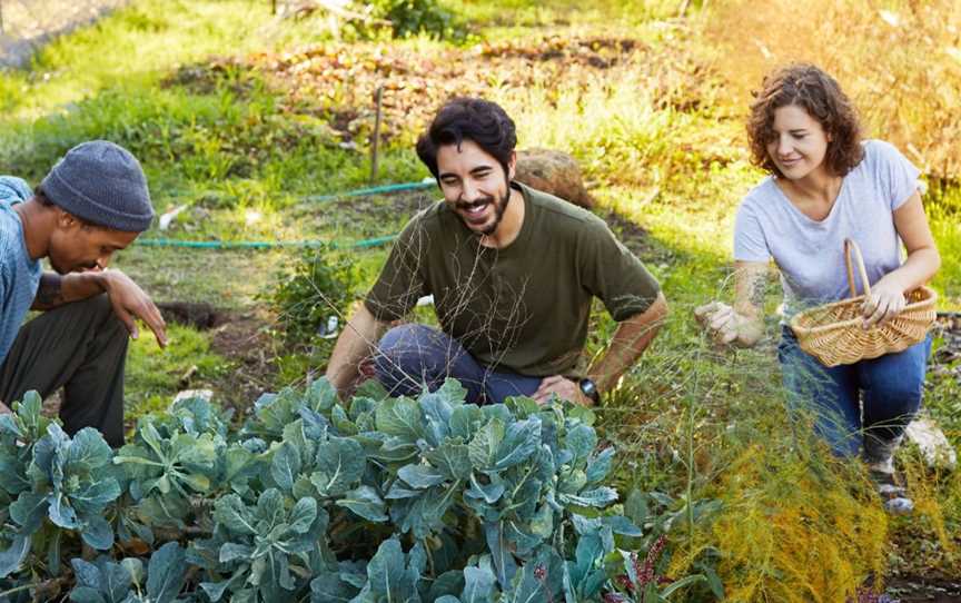 Valentines in the Garden - 'Weed dating', Events in Coburg