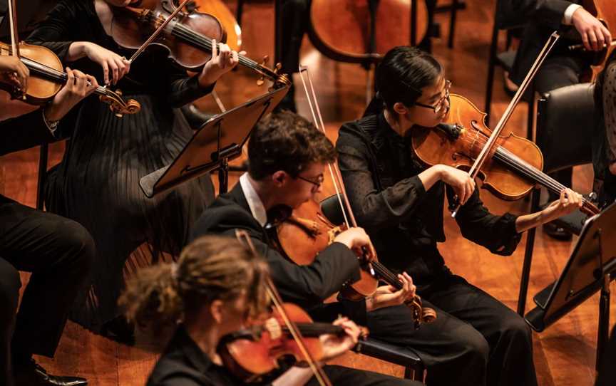 The viola section in an orchestra, they are all wearing black and looking at the music.