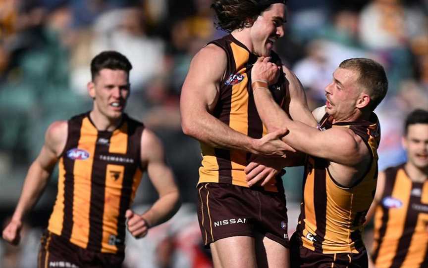 Hawthorn 2024 AFL Season