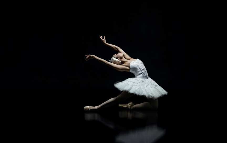 Swan Lake