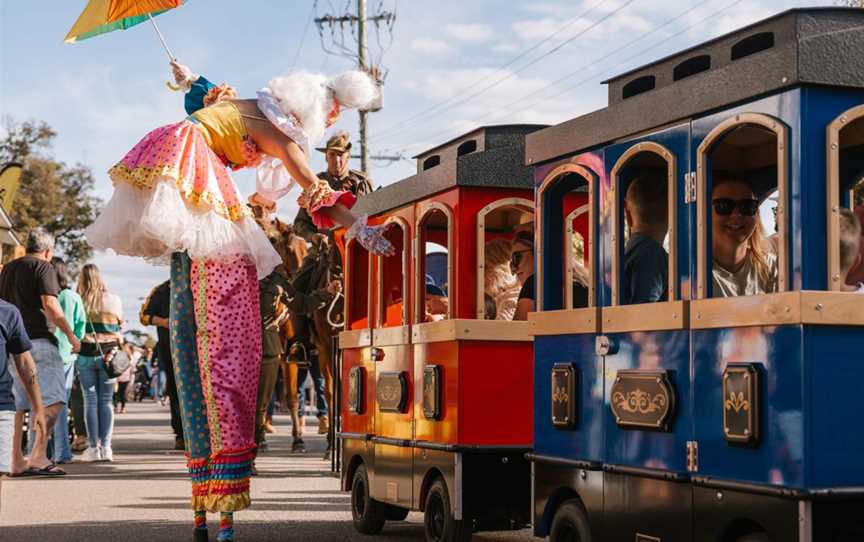 Roving performing stiltwalker and train at the Pinjarra Festival