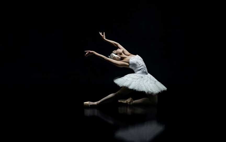 Swan Lake