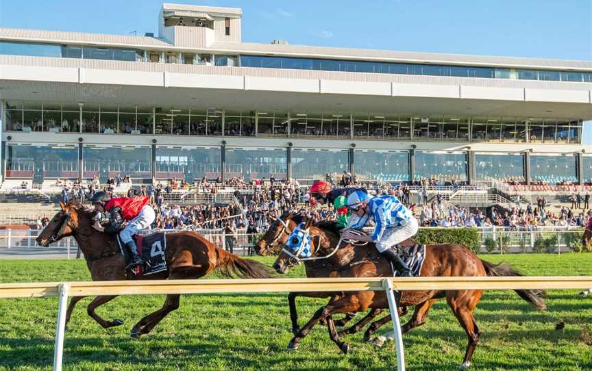 Horses fly down the finishing straight at Belmont Park Racecourse