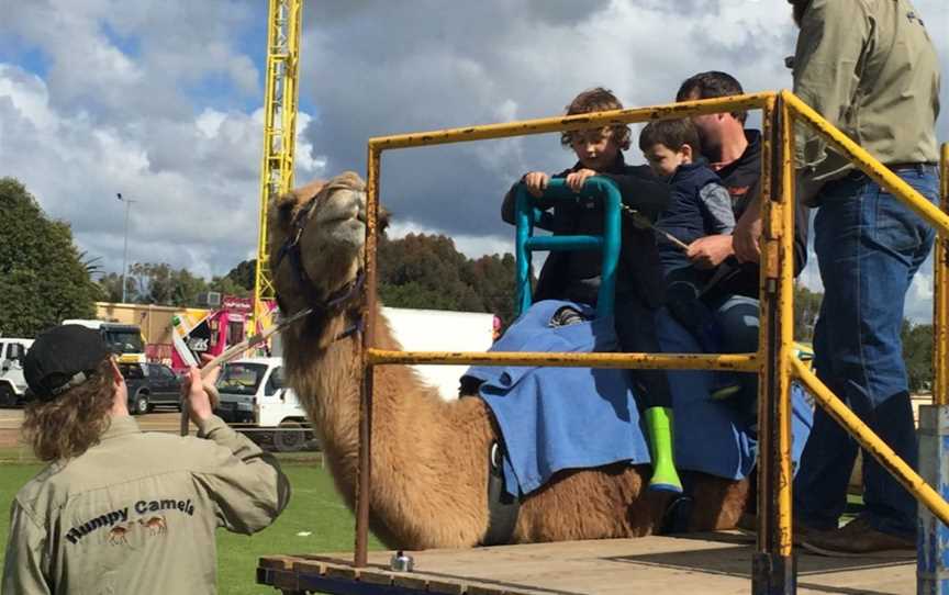 Beverley Agricultural Show, Events in Beverley