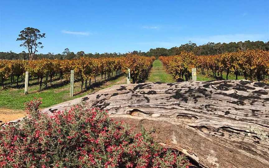 Whicher Ridge Wines, Wineries in Chapman Hill