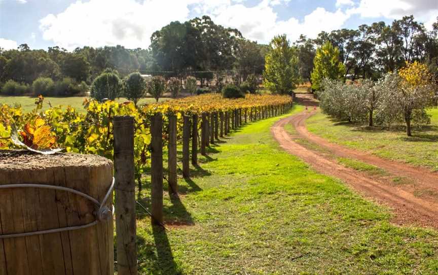 Tonon Vineyard & Winery, Wineries in Carmel