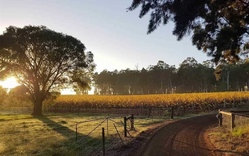 Below & Above Wines, Wineries in Pemberton